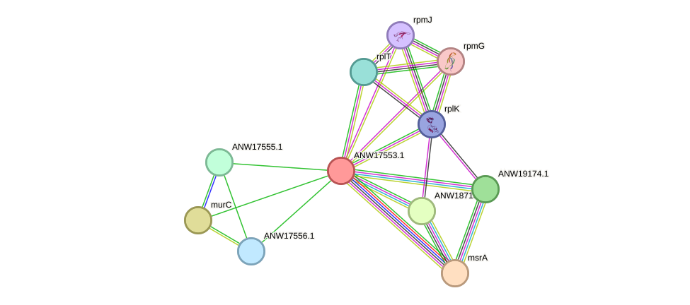STRING protein interaction network