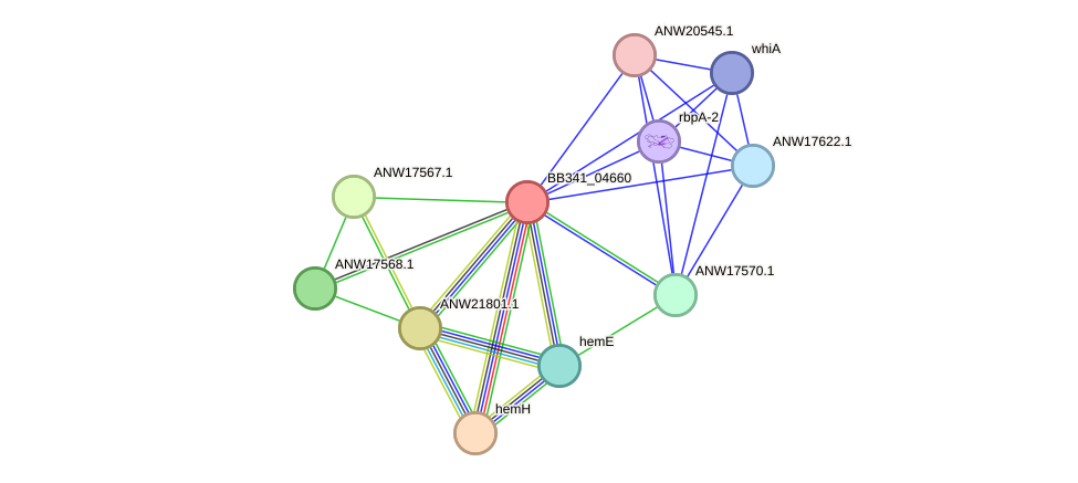 STRING protein interaction network