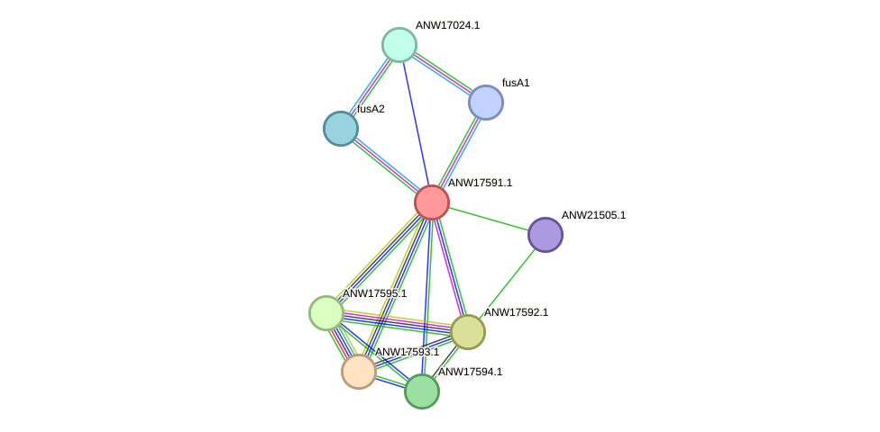STRING protein interaction network