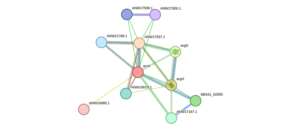 STRING protein interaction network