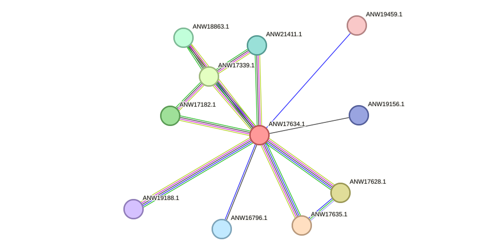 STRING protein interaction network