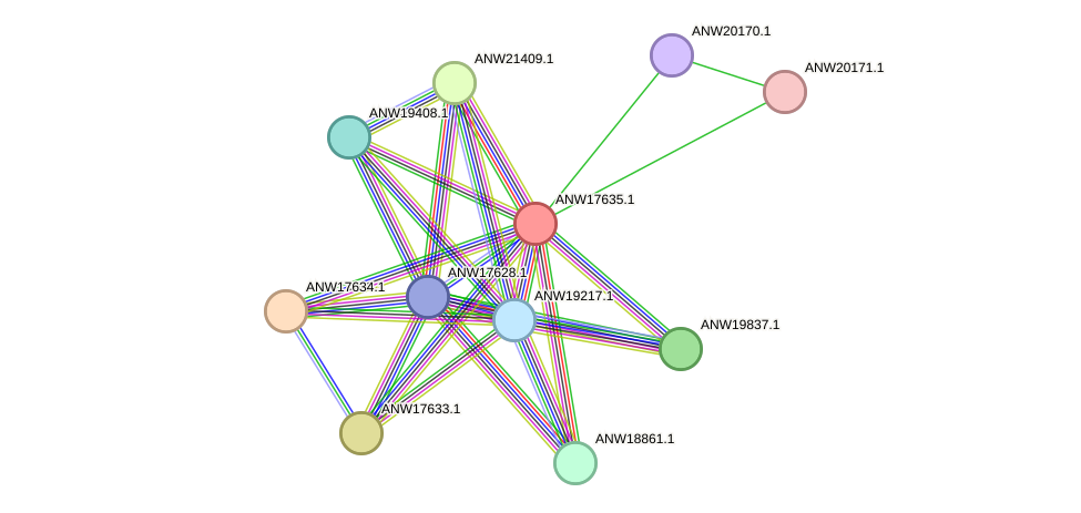 STRING protein interaction network