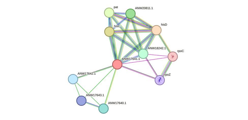 STRING protein interaction network