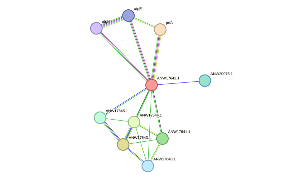 STRING protein interaction network