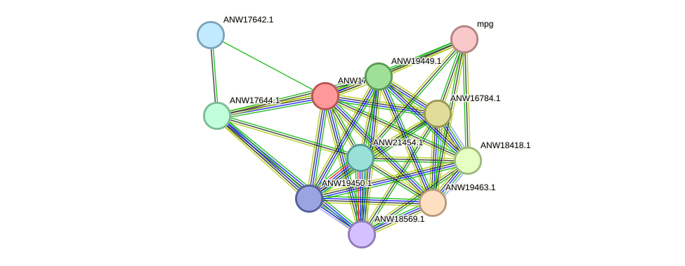 STRING protein interaction network