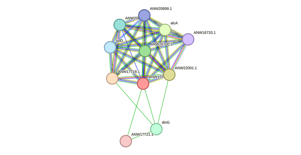 STRING protein interaction network