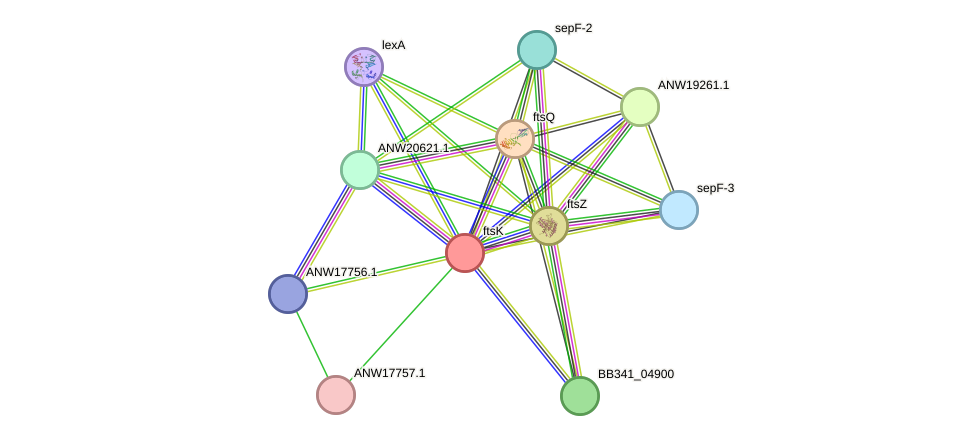 STRING protein interaction network