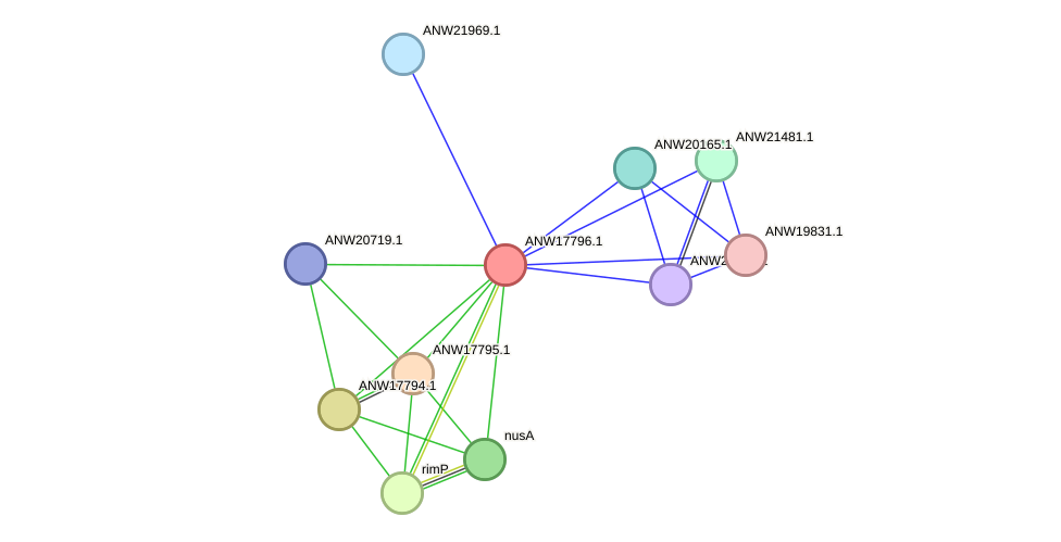 STRING protein interaction network