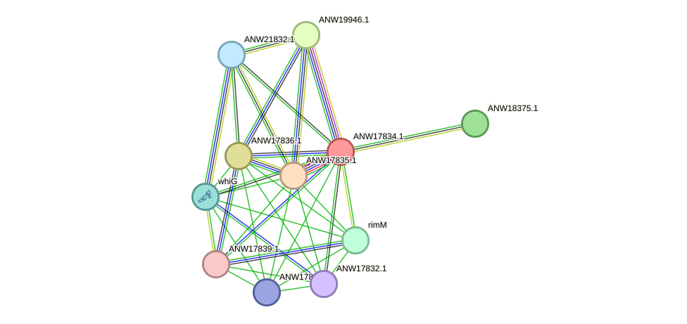 STRING protein interaction network