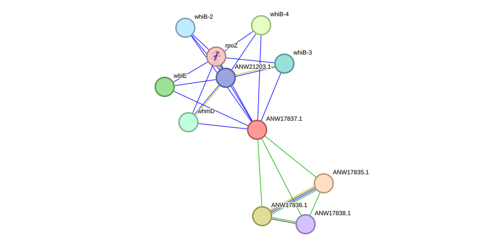 STRING protein interaction network
