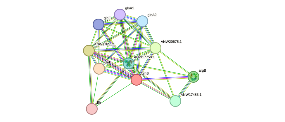 STRING protein interaction network