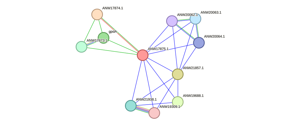 STRING protein interaction network