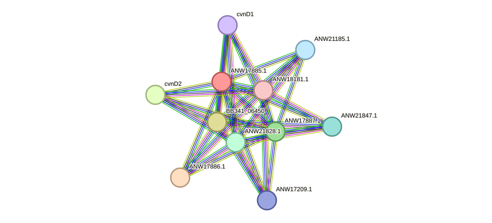 STRING protein interaction network