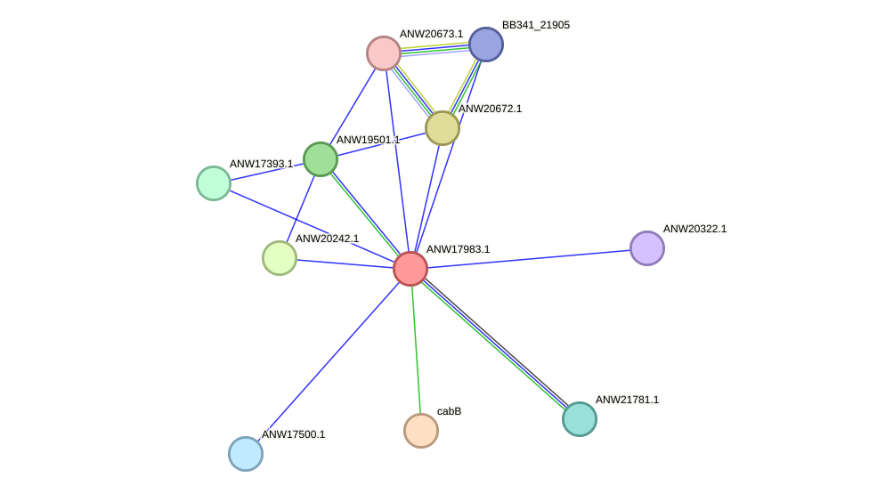 STRING protein interaction network