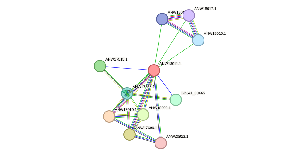 STRING protein interaction network
