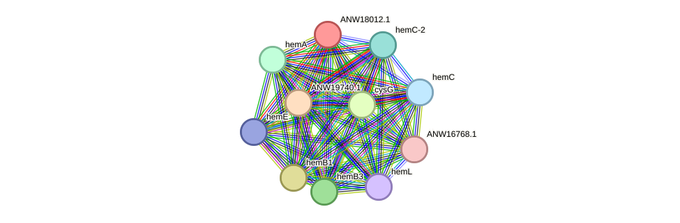 STRING protein interaction network