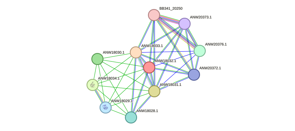 STRING protein interaction network