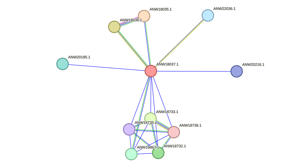 STRING protein interaction network