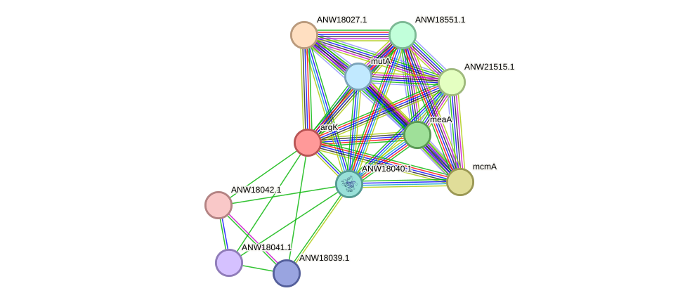 STRING protein interaction network