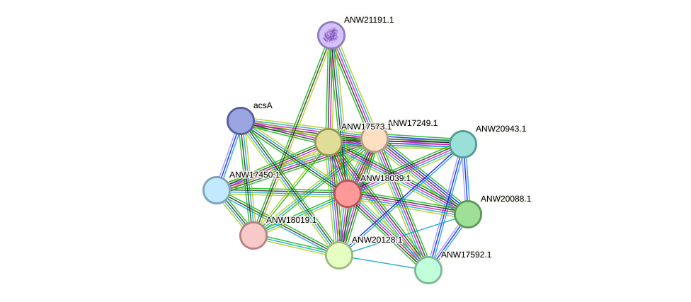 STRING protein interaction network
