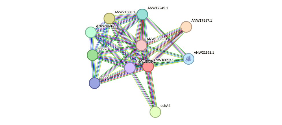 STRING protein interaction network