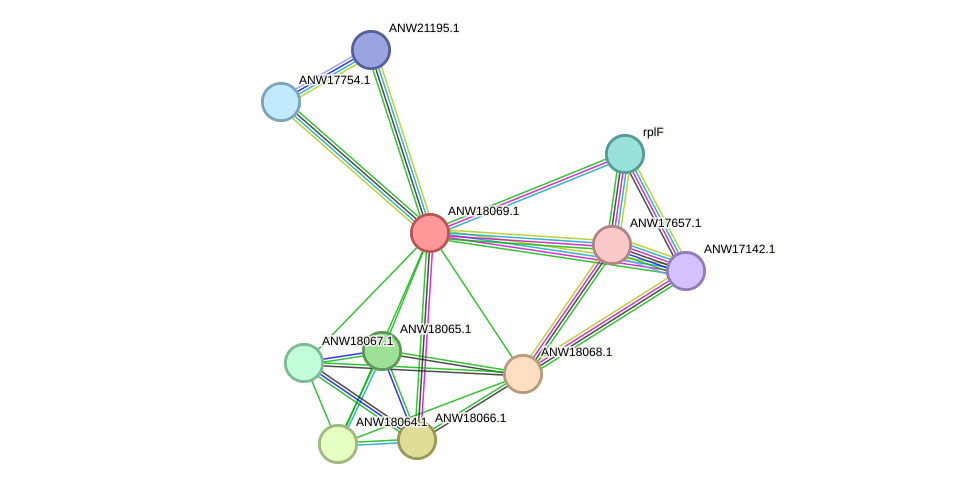 STRING protein interaction network