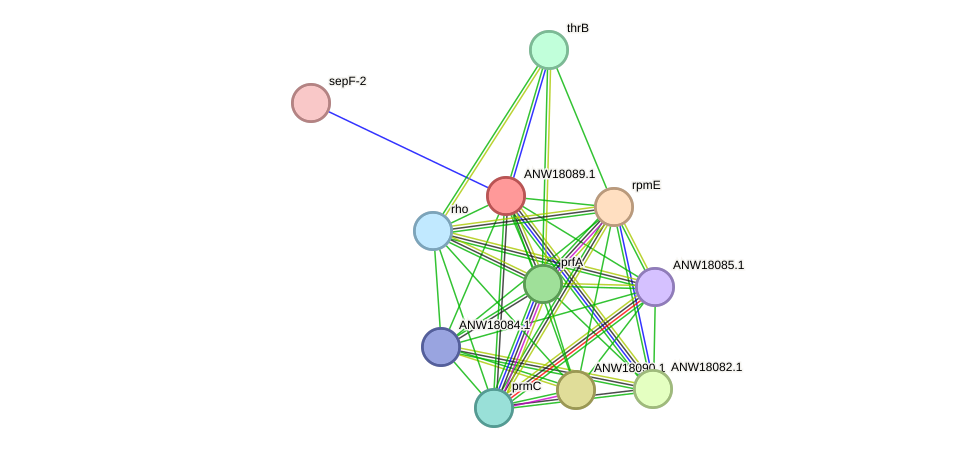 STRING protein interaction network