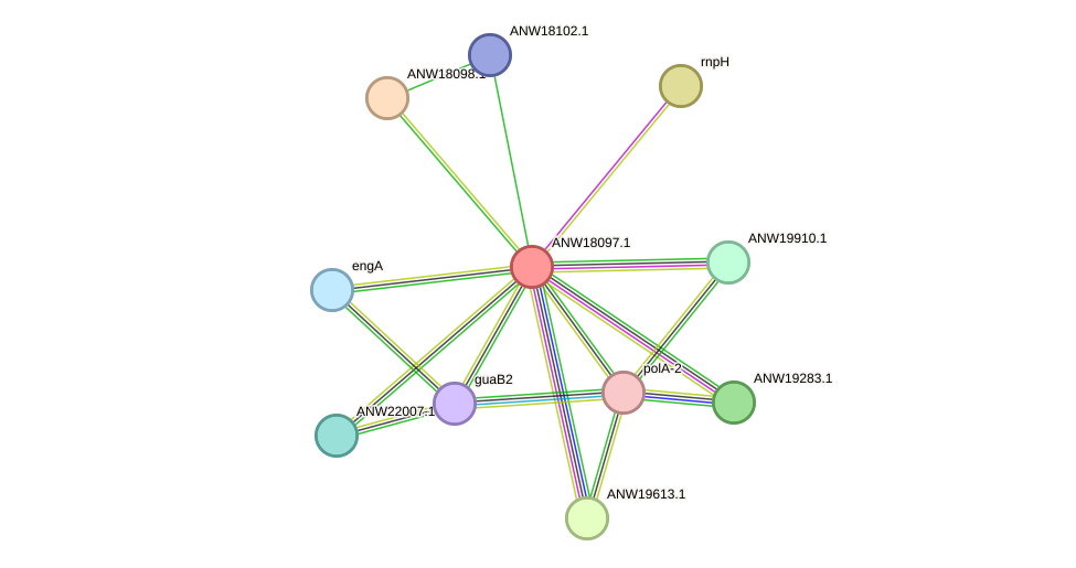 STRING protein interaction network