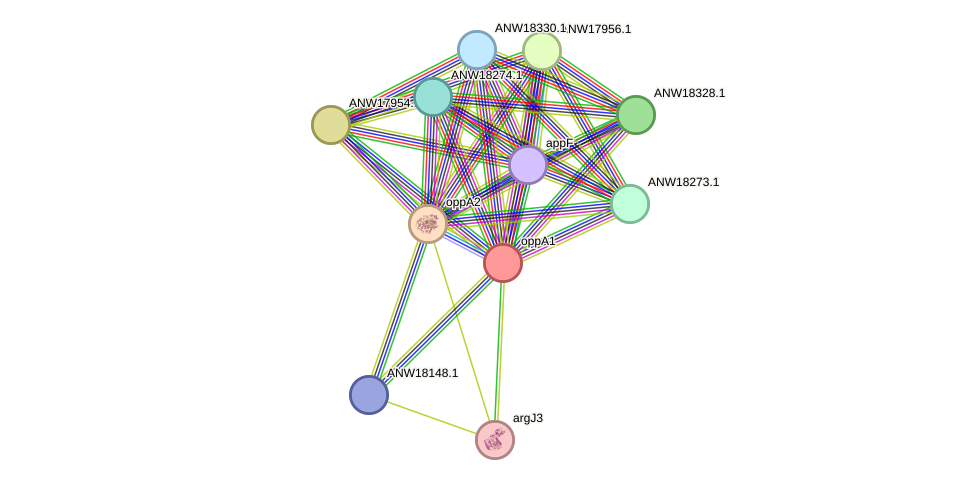 STRING protein interaction network