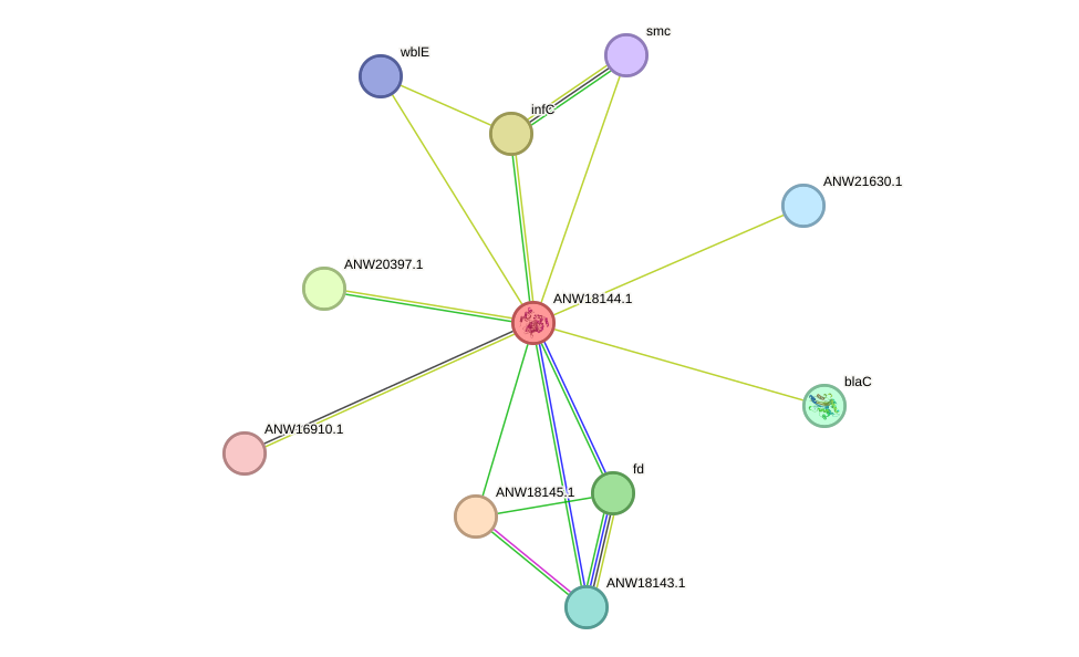 STRING protein interaction network