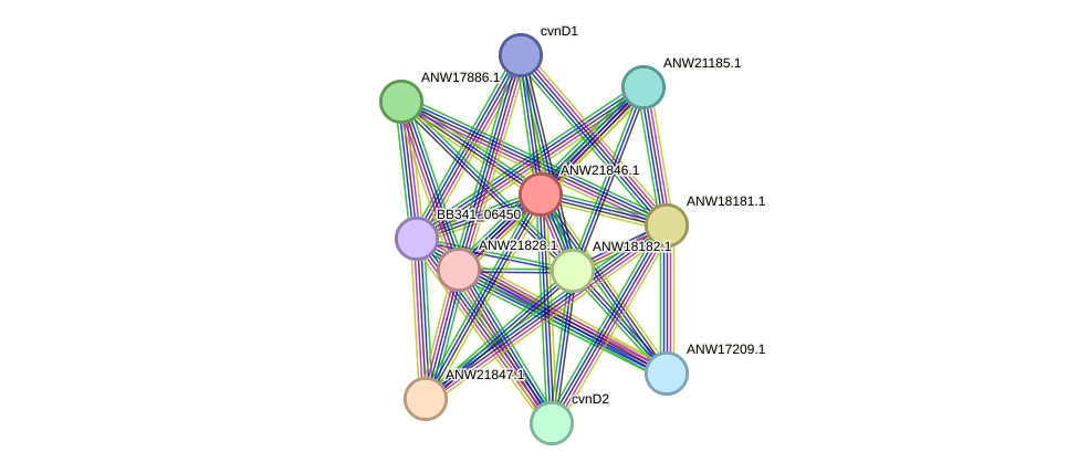STRING protein interaction network