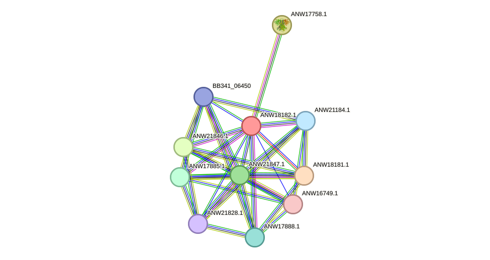 STRING protein interaction network