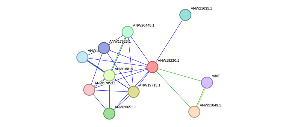 STRING protein interaction network