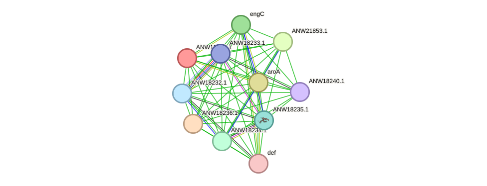 STRING protein interaction network
