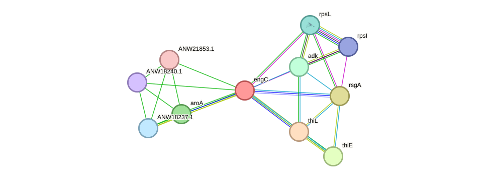 STRING protein interaction network