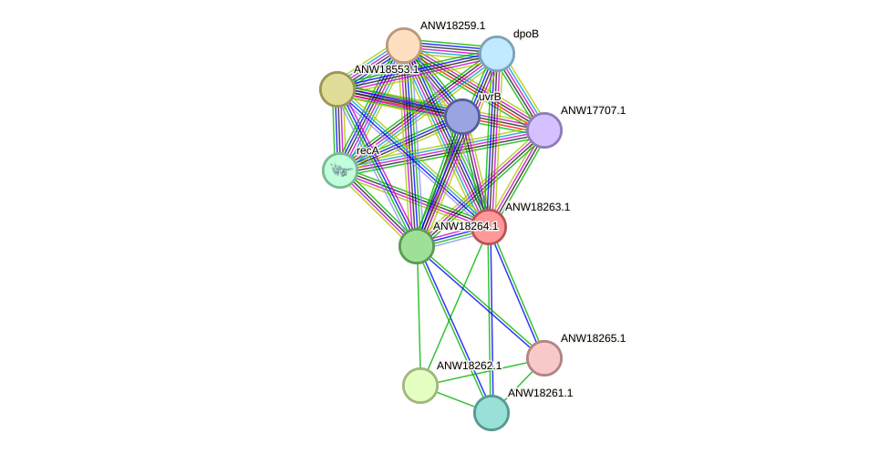 STRING protein interaction network