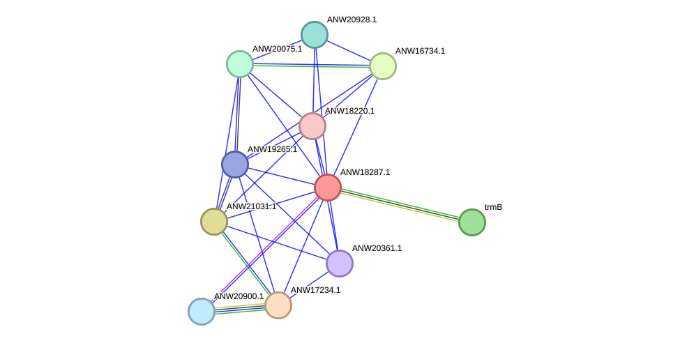 STRING protein interaction network