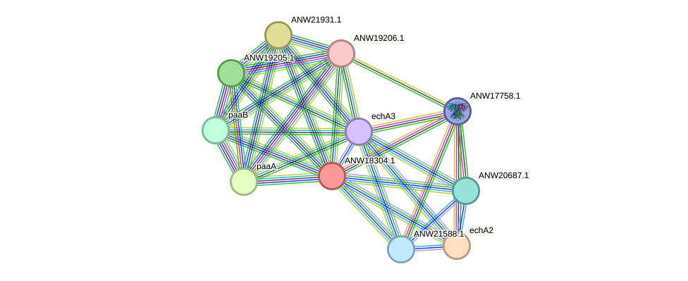 STRING protein interaction network