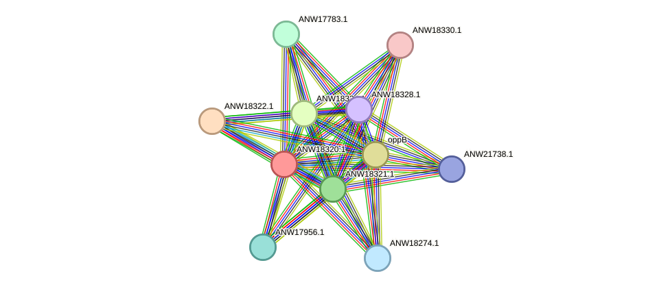 STRING protein interaction network
