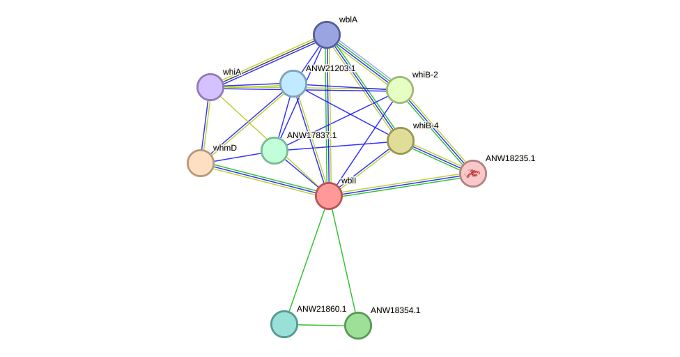 STRING protein interaction network