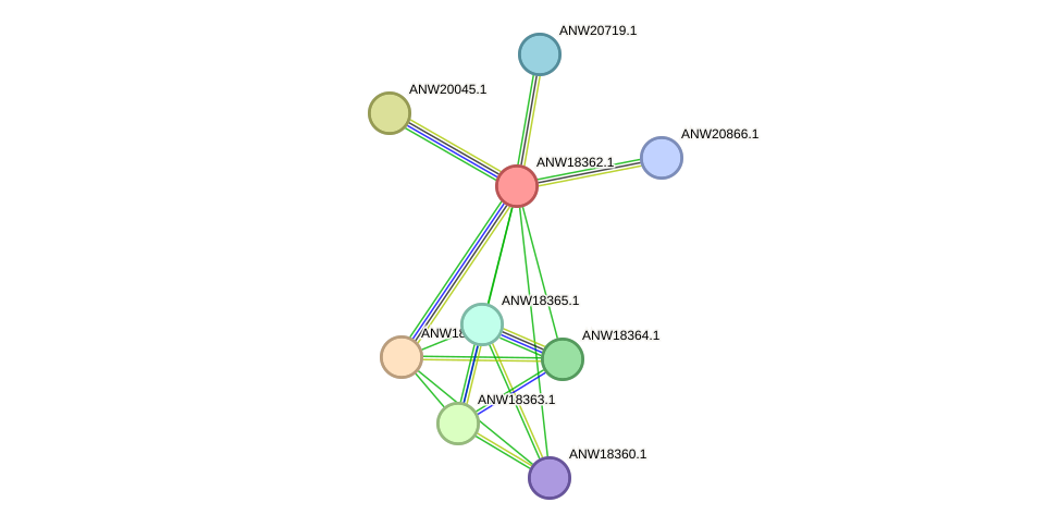 STRING protein interaction network