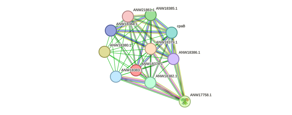 STRING protein interaction network