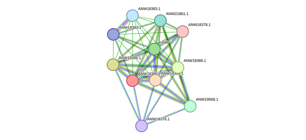 STRING protein interaction network