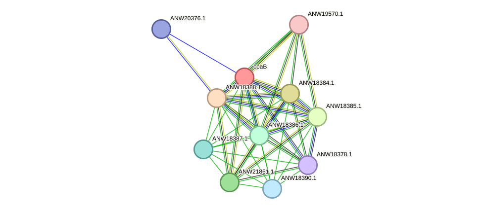 STRING protein interaction network