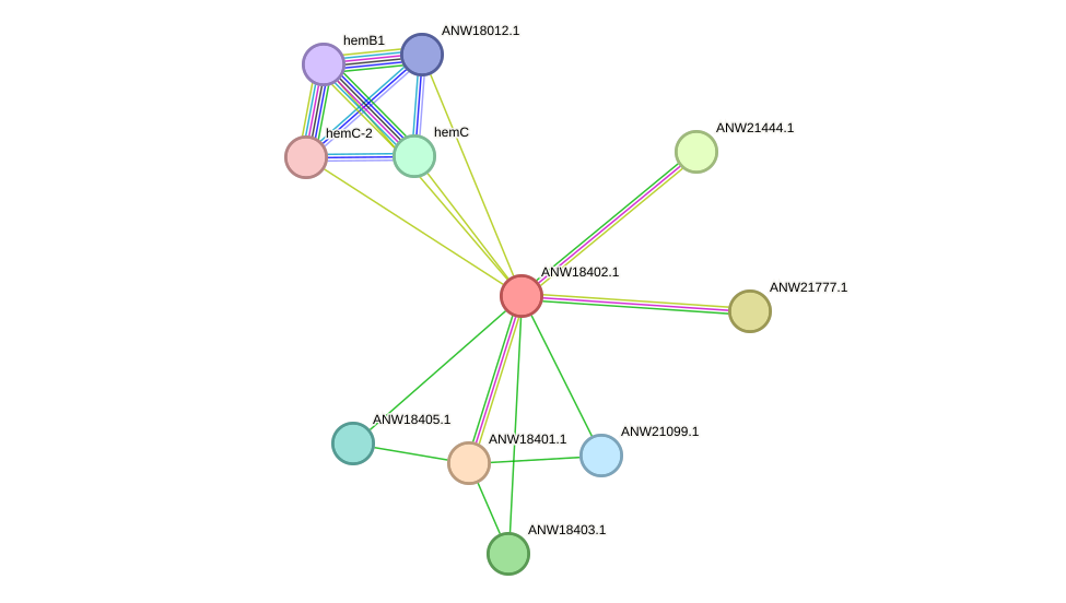 STRING protein interaction network