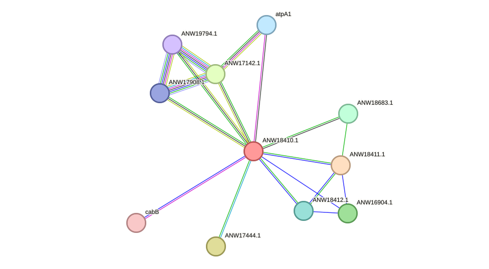 STRING protein interaction network