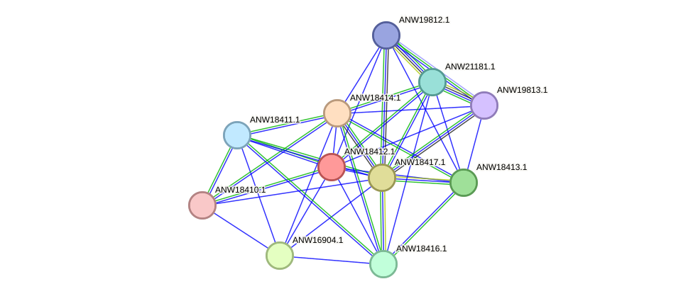 STRING protein interaction network