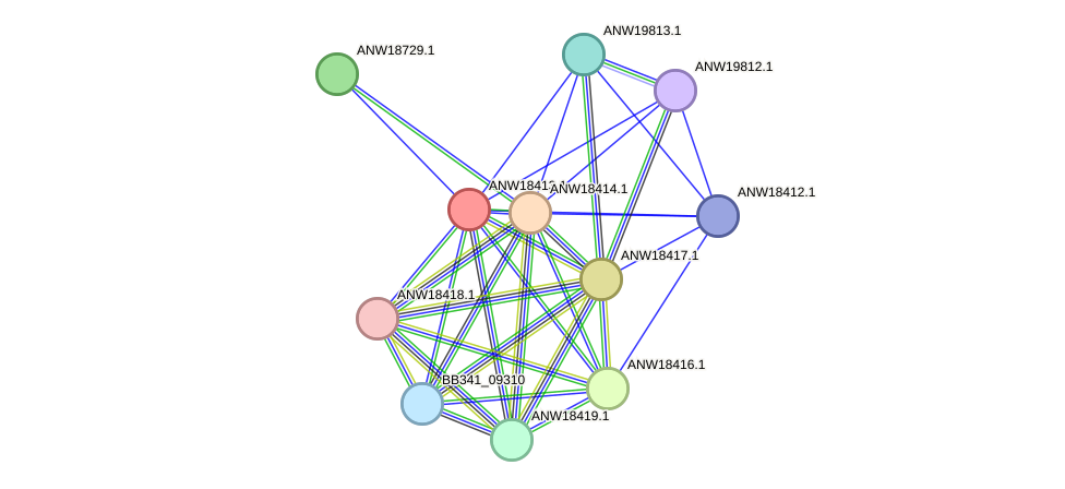 STRING protein interaction network