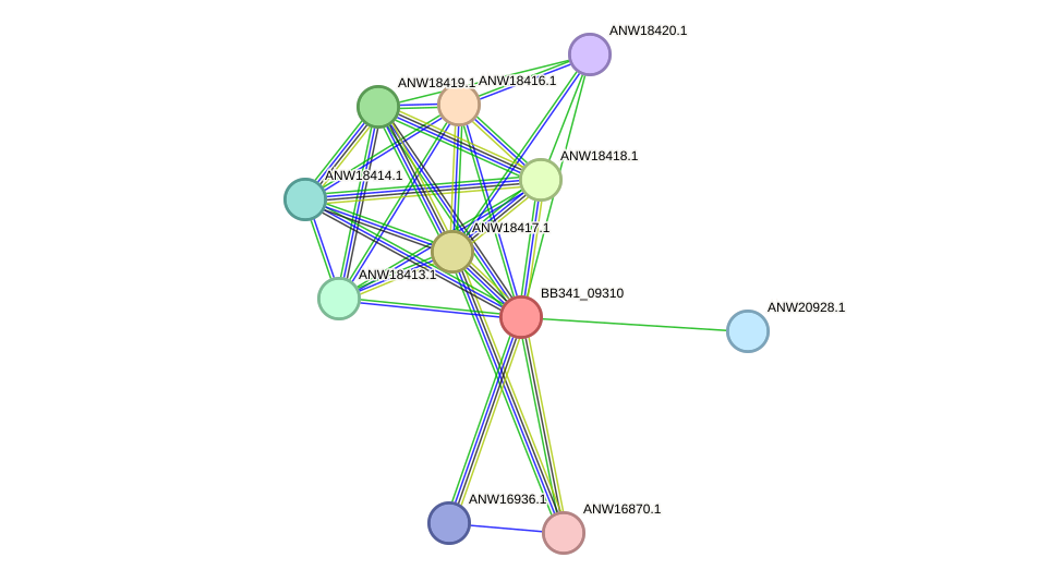 STRING protein interaction network
