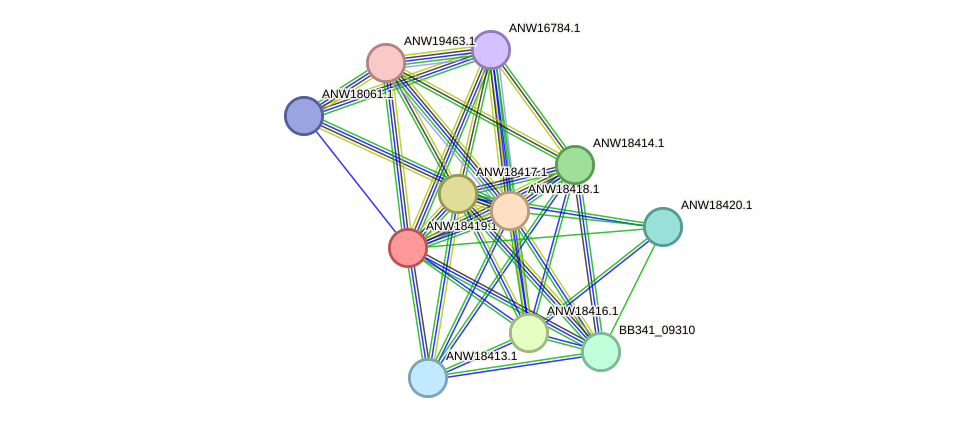 STRING protein interaction network